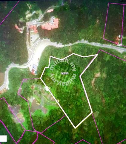 KUNDASANG LAND. Opposite KINABALU PARK Headquarters. NEXT TO MAIN ROAD 1