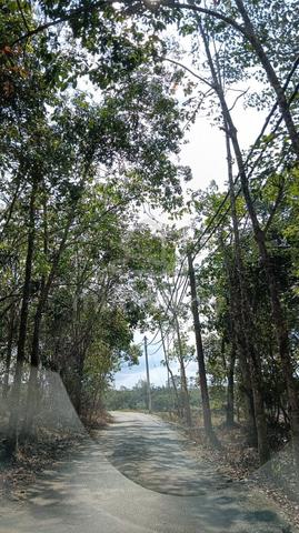 Tanah Cantek 1