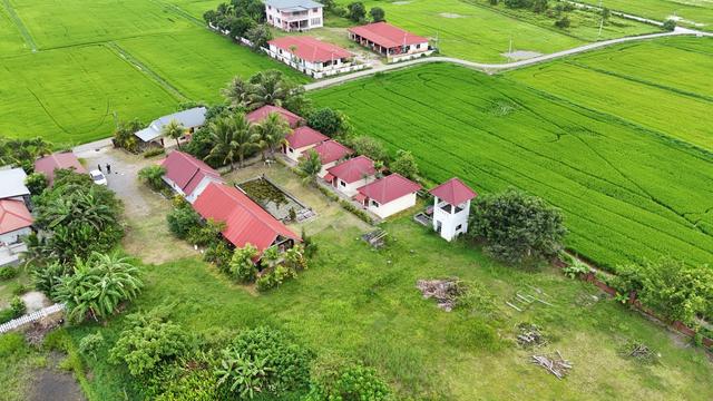 10 Single Storey Paddy Villa Ulu Melaka, Langkawi 1