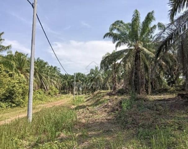 lot tanah kediaman untuk di jual 1
