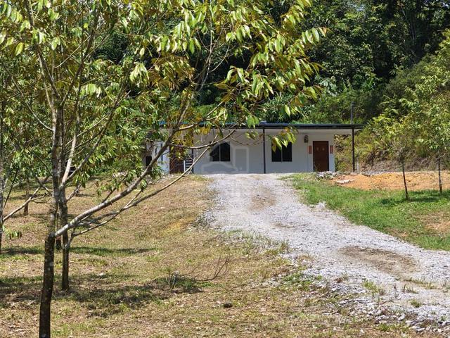 Tondong Land Durian Farm For SALE jalan Bau kuching 1