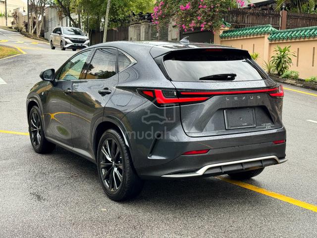 RED IN DIM HUD BSM 360CAM Lexus NX 350 2.4 F SPORT - 4
