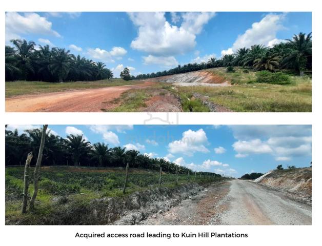 Agricultural oil palm 2433 acres land with zoning industry Kuantan 1