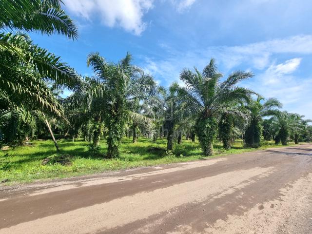 Zoning Industrial Agricultural Land For SALE,Location More Convenient 4