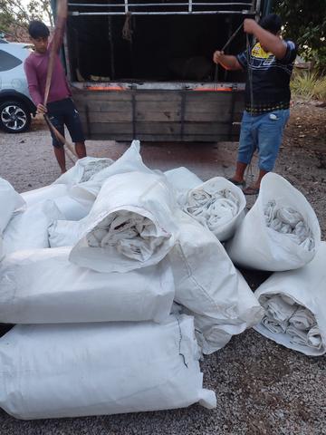 Carousel Image Selected