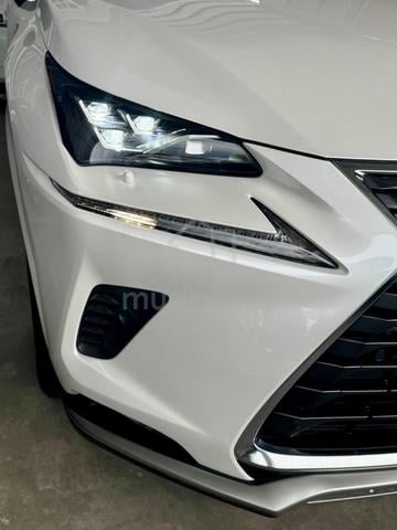 2021 Lexus NX300 Spice Chic - 2