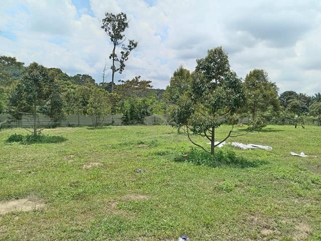 Tanah kebun Rezab Melayu 4.2 ekar tepi jalan utama area Tampin 5