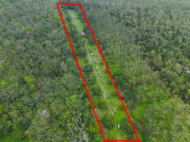 Kuala Kangsar, Perak / Durian Orchard Land / 1.4 Acres / FREEHOLD 1