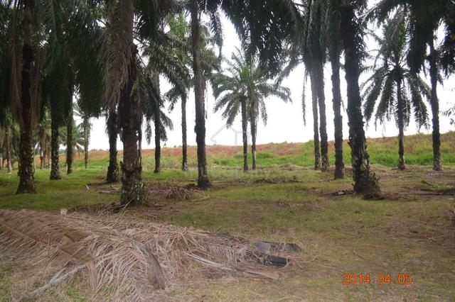 Land for Sale in Senai, Seelong, Johor Bahru 1