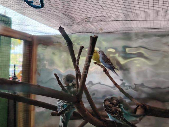 Carousel Image