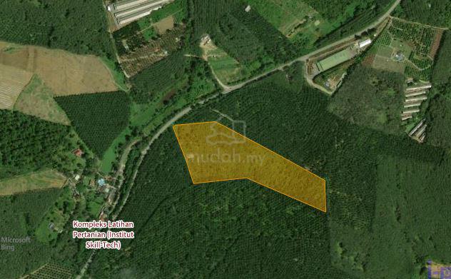 17 Acres Agri Land, via main road Jalan Tebong Machap, Durian Tunggal 1