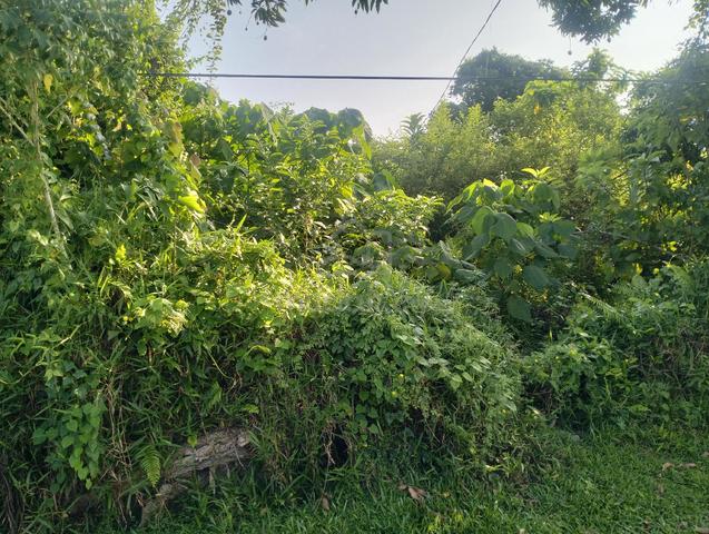 Land size 3,500 sq ft. Suitable for residential development. Peaceful  1