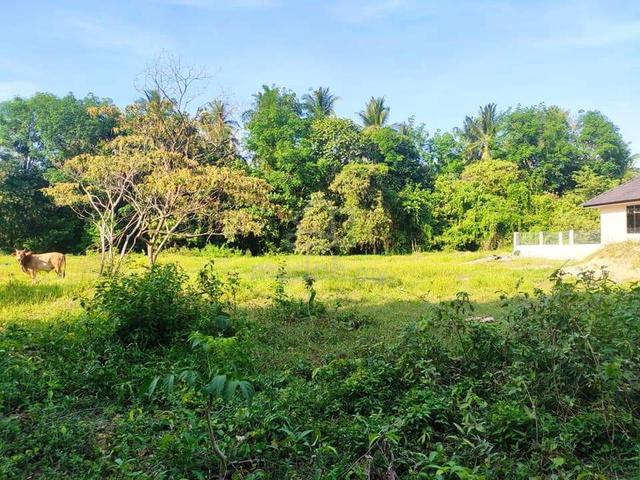 (Baung,Pengkalan Chepa) 1 Lot Tanah Lot Banglo Berhampiran Airport 1