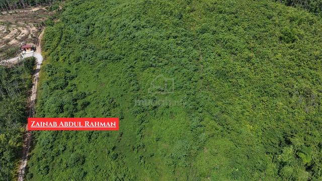 Tanah Pertanian Tepi Jalan Utama, Kampung Tok Set, Pendang, Kedah 1