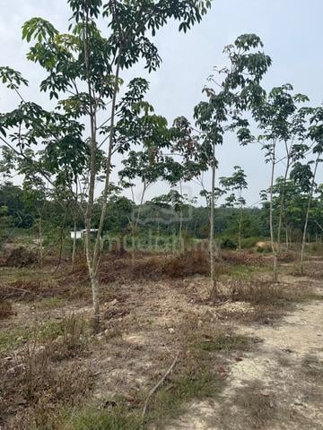 Negeri Sembilan Rembau Agricultural Freehold Land For Sale 1