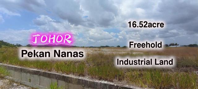 Johor Pekan Nanas 16.52acre Freehold Light & Medium Industrial Land 1