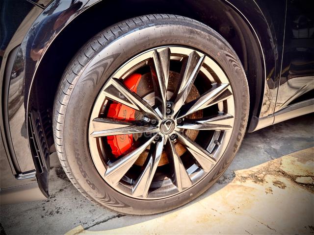 2024 Lexus RX350 2.4 F SPORT (A) - 5