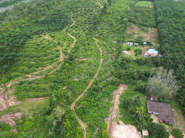 Kuala Ketil Parit Panjang Agriculture Land For Sale 1