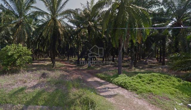 4.5acre Main Road Zoning Residential Land Chuah Port Dickson 1