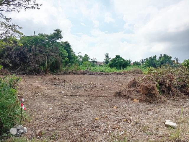 2 Lots - Pontian Besar Land for Sale (Seaside & Inland) 1