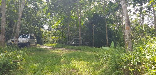 Tanah Kebun Getah dan Dusun Buah lokasi Menarik Dekat UiTM Kuala Pilah 3