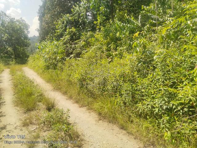 Tanah Kebun 1 Ekar Gemenchih lama N.Sembilan 1