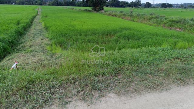 For Sale : Tanah Sawah Area Bertam Melaka 1