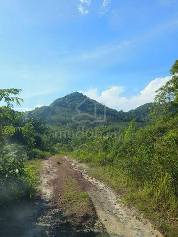 Kota Tinggi Jalan Mawai Batu 3 Agriculture Land for Sale 哥打丁宜农业地出售 1