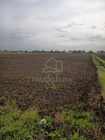 Tanah sawah Untuk dijual 1