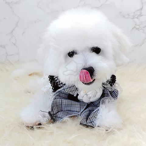 Carousel Image Selected