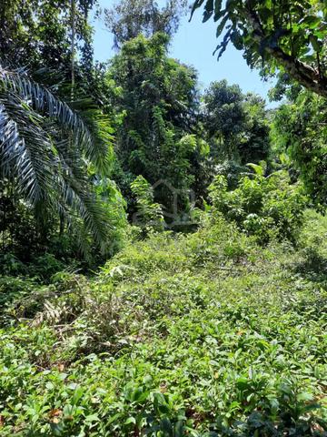 Tanah Kosong Agriculture 5.56 ekar Kg Bt9 Kuala Lipis Freehold 5