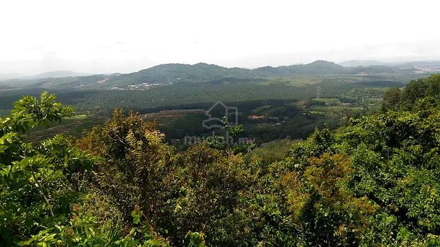 Tanah Pertanian 5.6 Ekar di Tampin 1