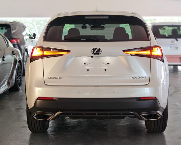 2021 Lexus NX300 2.0 I-Package Red Leather Sunroof - 4