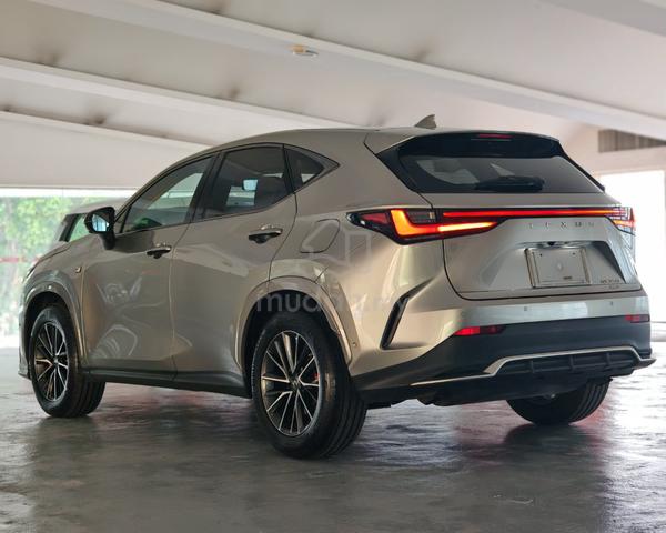 2024 Lexus NX350 2.4 F SPORT BROWN LEATHER 5A 9KKM - 2