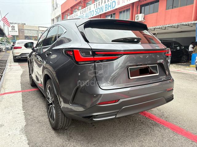 2024 Lexus NX250 2.5 (A) 39K KM Full Service UW29 - 3