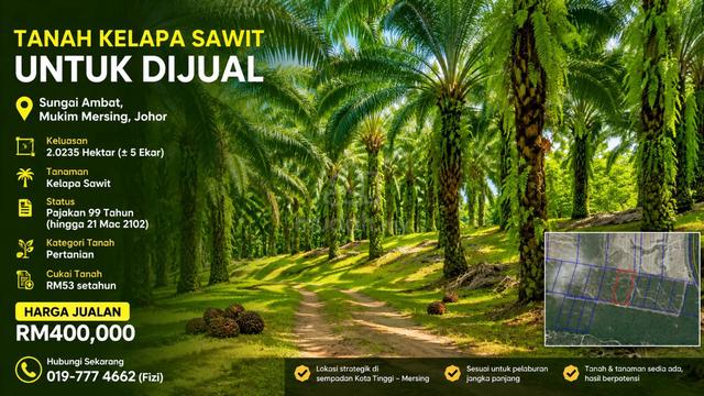 Tanah kelapa sawit Sungai Ambat, Mukim Mersing, Johor 1