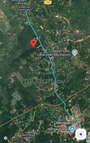 Tanah Pembangunan Freehold 24.5 ekar di Kerdau  ( Termerloh) pahang 1