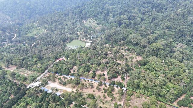 6.4 Acre Agriculture Land Mantin Negeri Sembilan With 196 Durian Tree 1