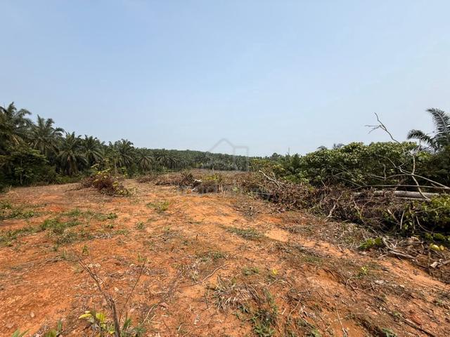 Tanah Pertanian Di Mukim Pekan Labu Besar, Kulim, Kedah 1