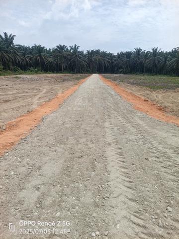 Tanah tapak rumah jual bahagian di serdang, bandar baharu, Kedah. 1