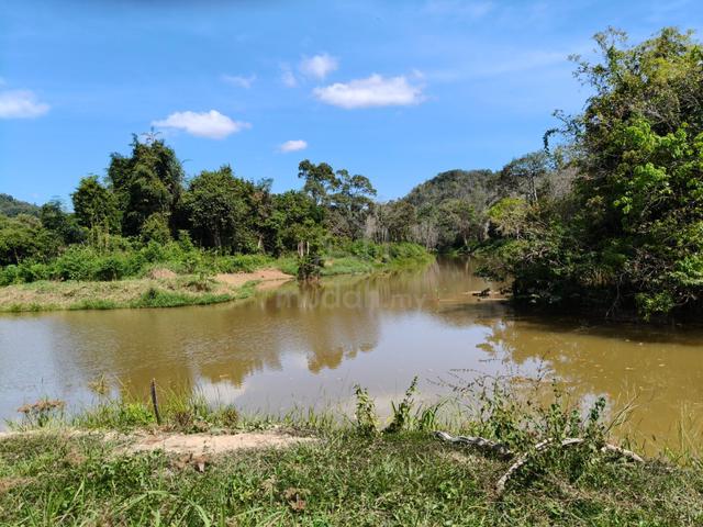 Kedah Pendang Freehold Land For Sale 1