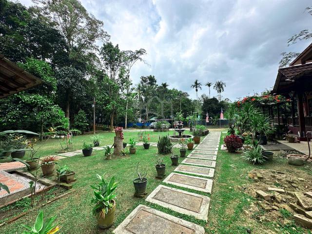 [Cul De Sac] Janda Baik Bentong Tanah dan Rumah Banglo Dusun 1.52 Acre 1