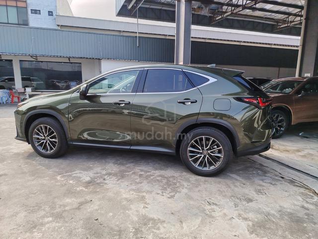 2023 Lexus NX250 2.5 BASE GRADE (A) - 1