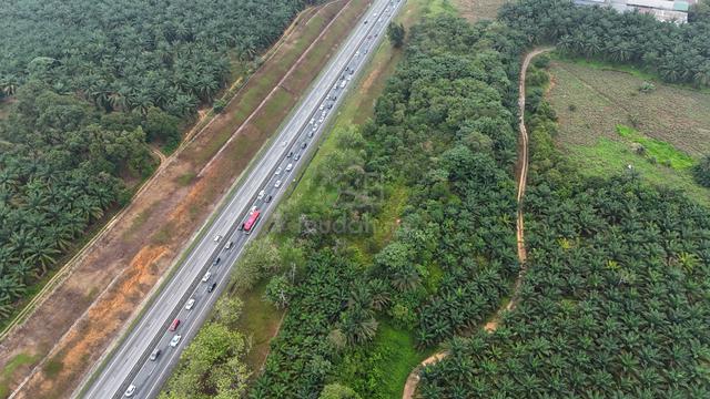 TANAH KEBUN SAWIT 1.33 Ekar di Bukit Batu Sedenak [MURAH] 1
