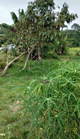 Sibuti Land 1