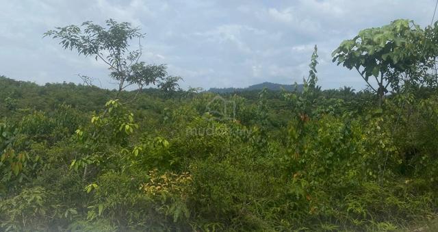 Ulu Tiram Sungai Tiram 5 Acres Zoning Medium Industrial Land For Sale 1