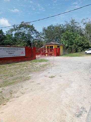 10 acre Agriculture Land Tampin Negeri Sembilan. Individual Title 4