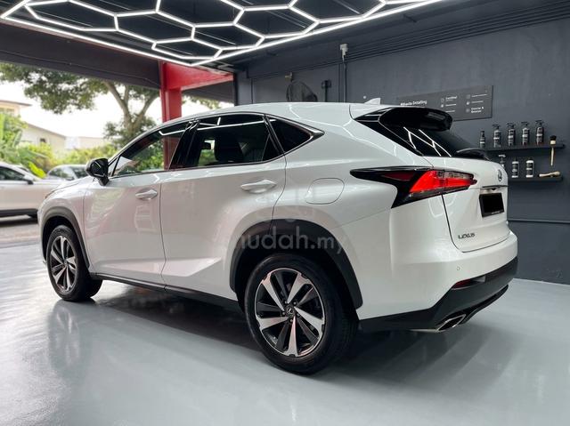 2018 Lexus NX300 2.0 PREMIUM (A) - 4