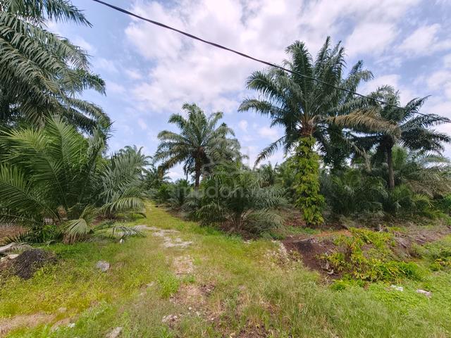 Ulu tiram land sale 1