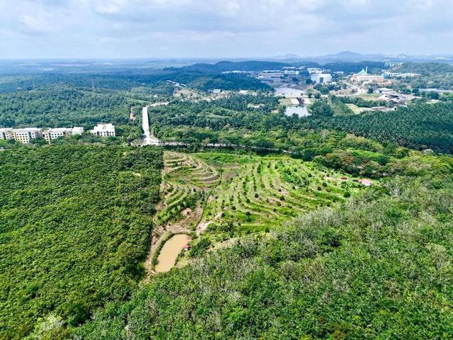 6.9 EKAR FREEHOLD LAND | Tanah Pertanian Ayer Keroh, Melaka 1